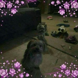 Meet your Posher, Kathryn